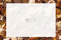 黄色树叶上白色背景的贺卡框架。秋天的主题