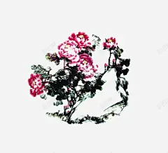 牡丹花手绘元素