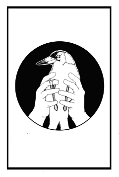 熊猫小竹桑采集到design