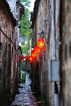 雨中的小黑球球采集到古镇陈墙