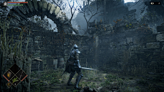 丹丽叶采集到Demon's Souls