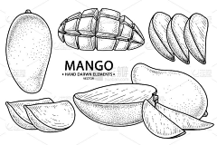 六小鹿采集到插画-其他