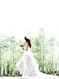 典型的#韩国婚纱#，唯美浪漫_婚礼素材收集者_新浪轻博客_Qing