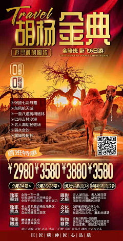 请叫我黄大仙采集到西北