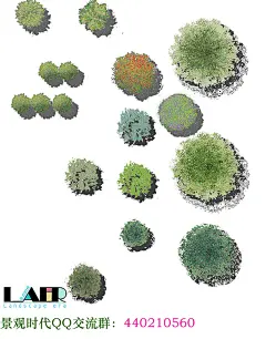 2023PS小清新彩平植物平面psd免扣素材建筑景观小清新彩平ps植物-花瓣网