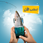 Sea Bass : SeaBass which imports and all types of fresh fish from global companies with European products with a good reputation from Greece, Cyprus, Turkey and Norway (such as Sea Bass – Sea bream (Dennis) – Norwegian salmon) #sea #Fishing #Ads #kuwait