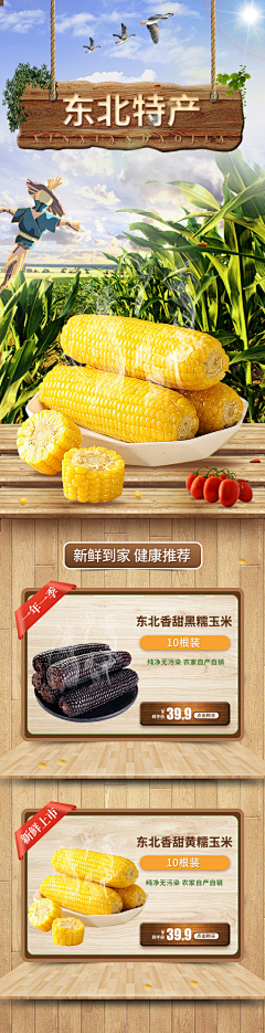 皮眼子采集到首页
