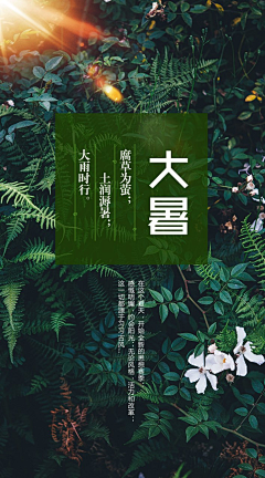 ngjjc采集到App-引导页-24节气