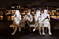 Amsterdam Light Festival 2022 - Travel Begins at 40