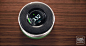 fc57a6147f867adbb913c8fd3dfbe2a4_large.jpg