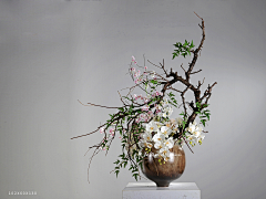 繁花韵2号工具人采集到花艺-中式