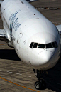 AIR NEW ZEALAND BOEING 777 200, AKL, COPYRIGHT ROB FINLAYSON