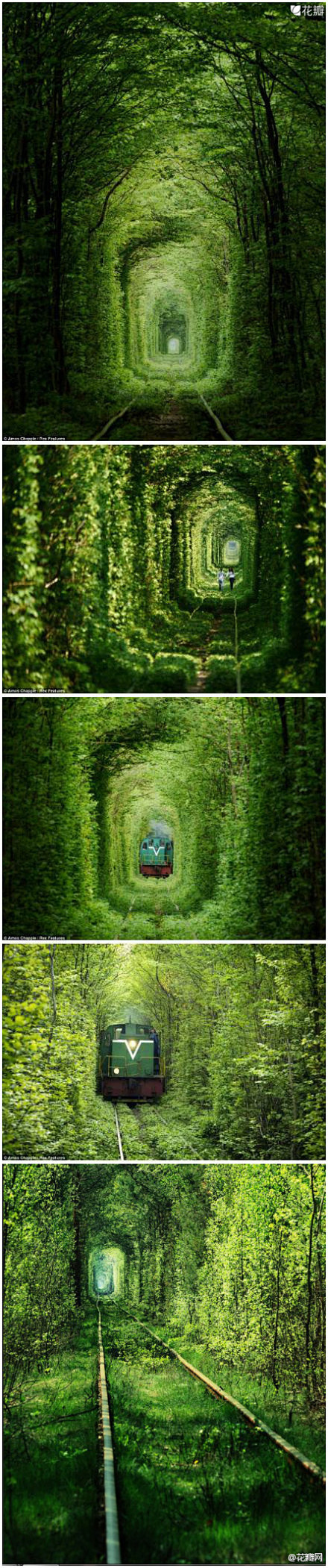 【乌克兰“爱之隧道”】是位于Klevan...
