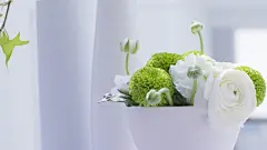 绿菊小清新盆栽唯美电脑桌面背景壁纸下载http://www.kutoo8.com/