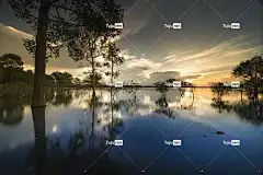 日落 湖 桌面背景 树 壁纸4K 全高清壁纸 背景 高清壁纸