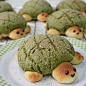 小绿龟饼干
