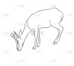 瞪羚,线条,户外,春天,白色,黑色,式样,概念,自然美,绘制