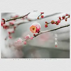 咏梅_2