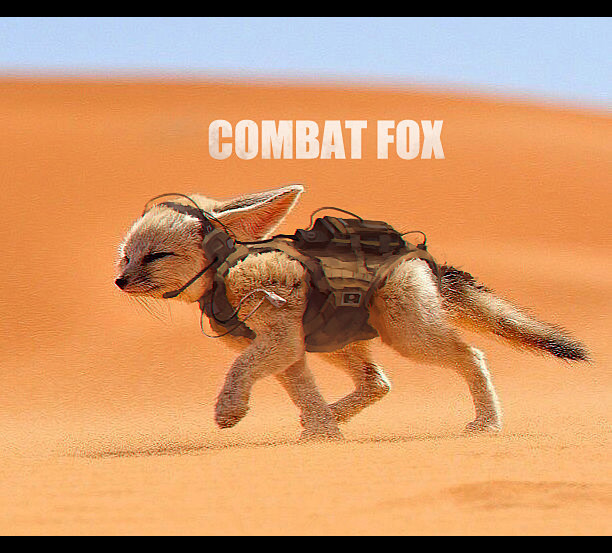 Combat Fox, Crux Lee...