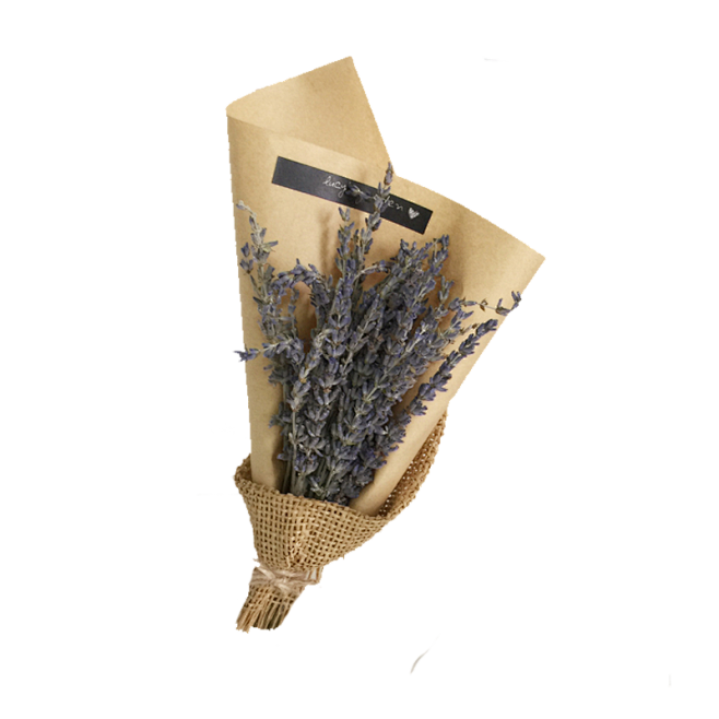 薰衣草png  一束干花 紫色的花 干花...