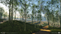 colin-valek-valek-tree-birch-izu-01