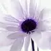 十年*
