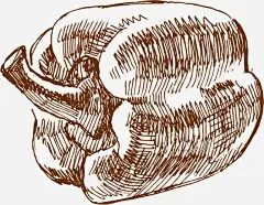 手绘蔬菜图案高清素材 手绘 插画 蔬菜 青椒 免抠png 设计图片 免费下载