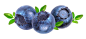 蓝莓 免扣 png素材 水果png素材@两秒视觉