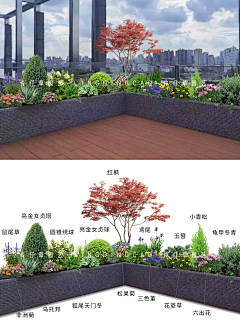 Plant丨花境植物配置-花瓣网|陪你做生活的设计师 | 彩_场地