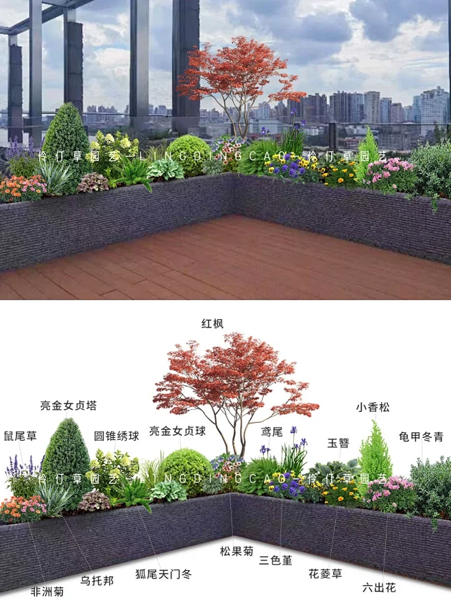 户外露台花箱植物搭配系列丨你更喜欢哪一组-花瓣网