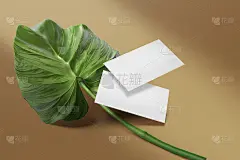 在文件背景上清洁最小的名片模型