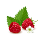树莓水果瓜果美食
