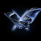 webp (13)