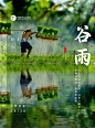 绿色谷雨节气水稻田里实景海报