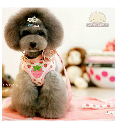 狗狗牵引绳 小型犬狗链子 狗绳子 狗狗胸...