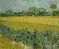 亚尔附近的花田 - Field with flowers near Arles