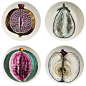 A Set of Four Piero Fornasetti Pates FromThe Sezioni Di Frutta Series.