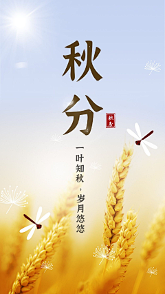 羊羊YOUNGS采集到秋分