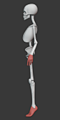 Stylized Female Anatomy , George Zaky : I decided to work on the full character this time hehe
My stylized female anatomy *ecorche is now available on my 
Gumroad: 
https://gumroad.com/georgezaky108
This Stylized Anatomy *Ecorche contains:
- Simplified Sk