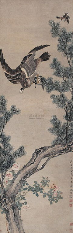 呙采集到c-hua