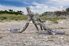 海滩 自由背景 大自然壁纸 风景秀丽的 旅行 美丽的大自然 免费壁纸