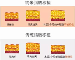 尛籹孓采集到整形插画