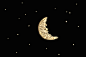 Domenic Bahmann-9