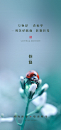 【源文件下载】 海报 房地产 二十四节气 惊蛰 七星瓢虫 366699