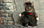 Cat, Animal, Costume, Cute, Pet