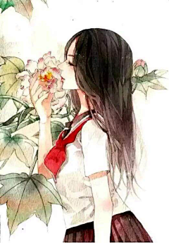 Mcayeiol采集到MM.花语&花与人