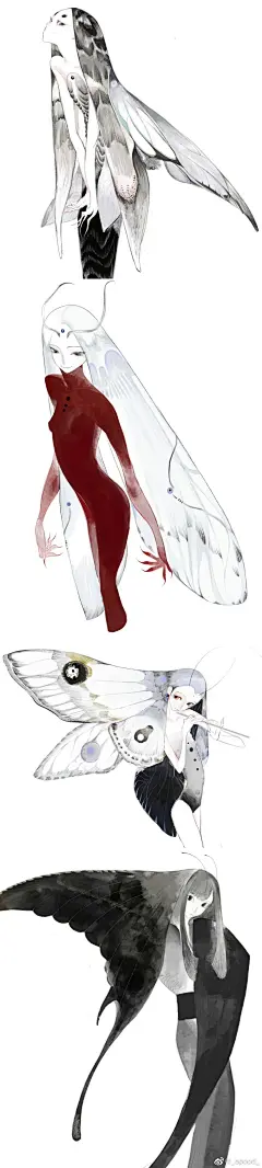 elf in the deep woods-花瓣网