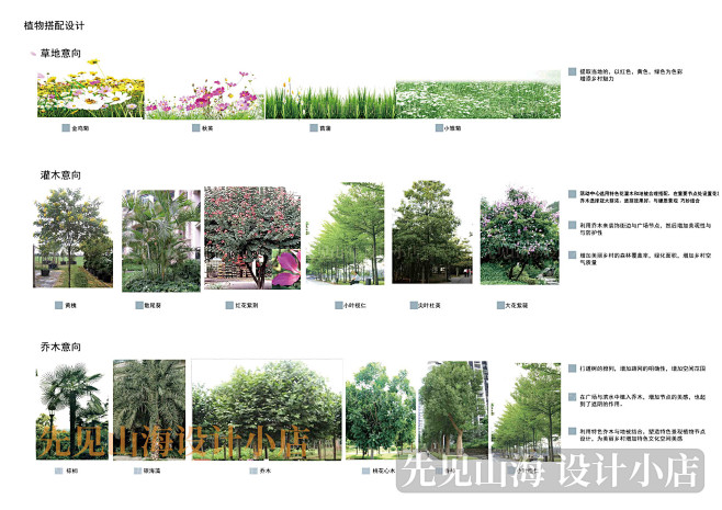 PS FXT002 景观园林 植物专项设计 植物种植分析图 PSD素材-淘宝网