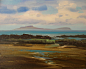 Saatchi Online Artist: KEVAN MCGINTY; Acrylic, 2013, Painting "ARDNAMURCHAN"