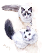 #淘宝店：速写爱宠# #狗狗# #画狗# #画猫#  #猫# #狗# #汪星人# #喵星人# #猫咪# #可爱# #宠物# #萌# #萌宠# #宠物画像# #铲屎官# #猫粮# #狗粮# #哈士奇# #拉布拉多# #金毛# #泰迪# #柯基# #雪纳瑞# #边牧# #秋田# #柴犬# 博美# #吸猫# #布偶猫# #阿拉斯加#